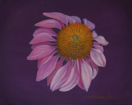 Coneflower, oil on canvas, 16x20